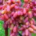 Виноград ЮЛИАН в Череповце