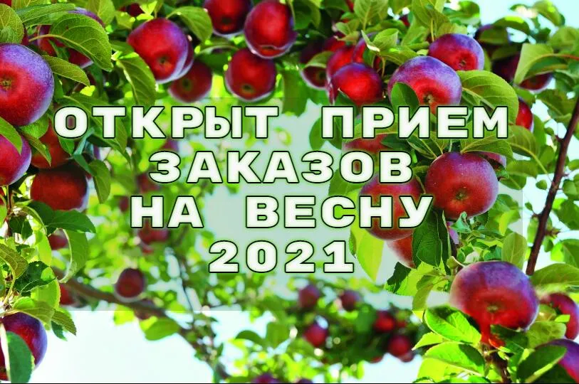 Предзаказ на весну 2021 Предзаказ на весну 2021